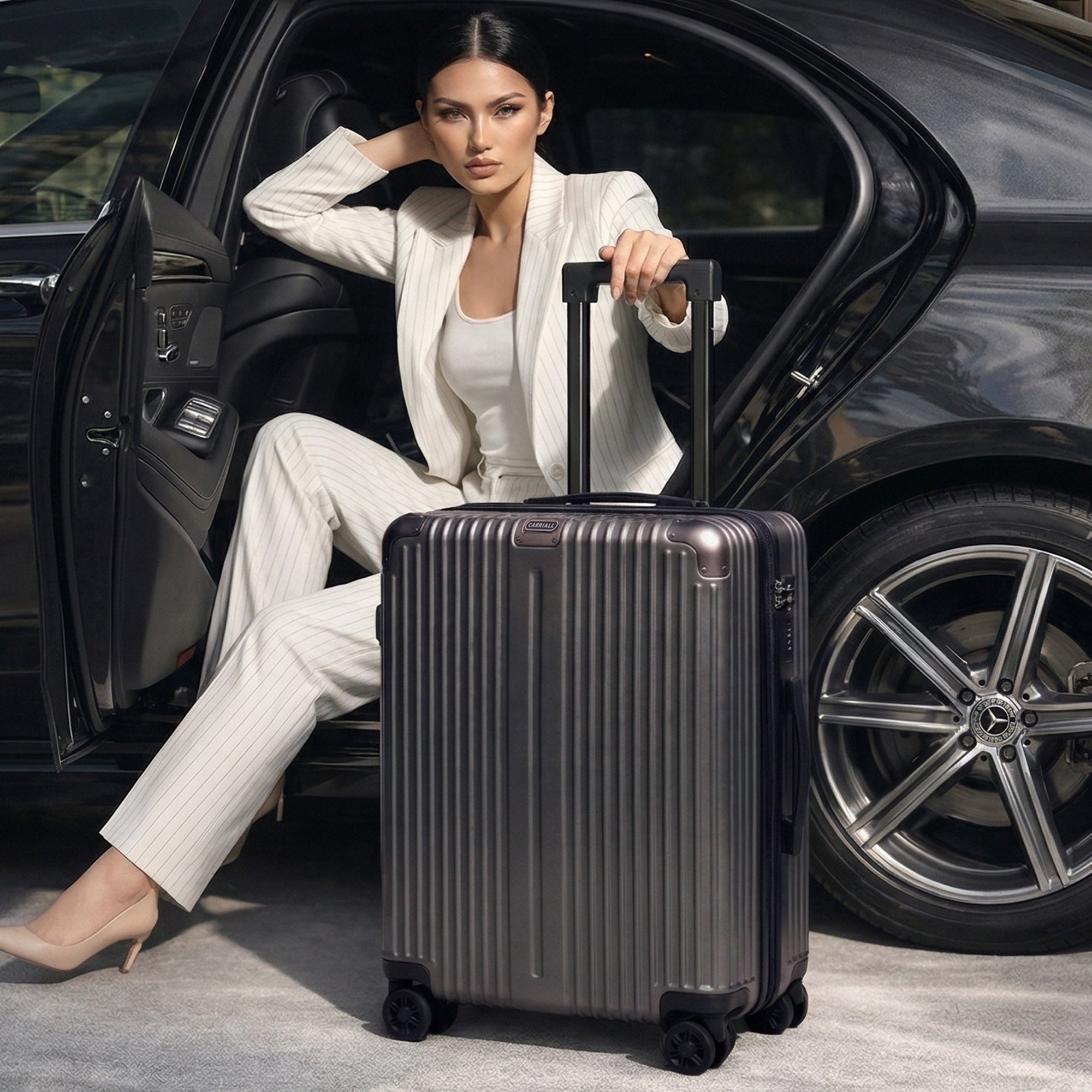 Meta Luggage